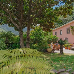 Madeira Surf Guest house